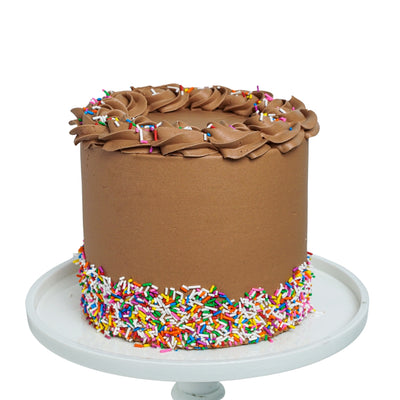 Chocolate Sprinkle Cake