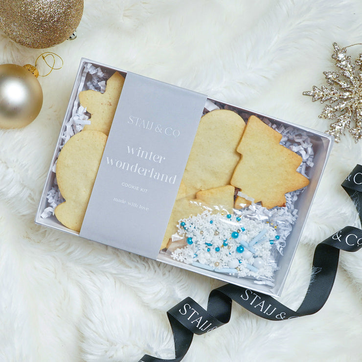 Winter wonderland Cookie Decorating Kit